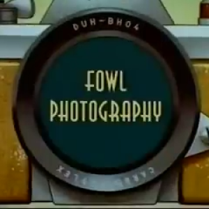 Fowl Photography,Baby Huey