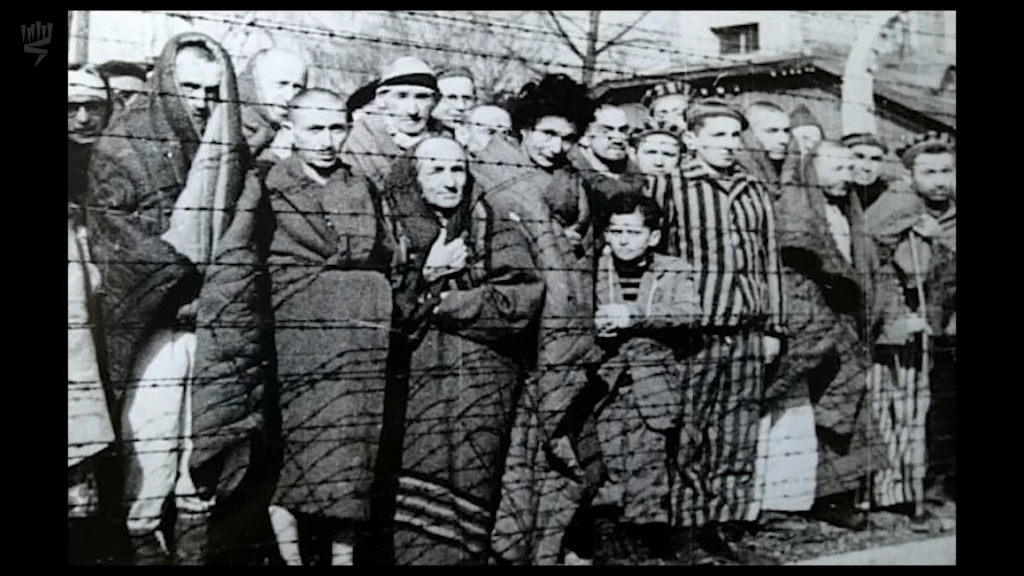 The Auschwitz Album Visual Evidence of the Process Leading to the Mass Murder at Auschwitz Birkenau
